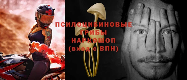 ECSTASY Алексеевка