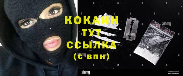 прущие грибы Аркадак
