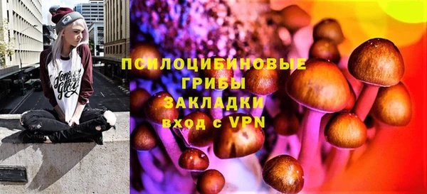амфетамин Алексин