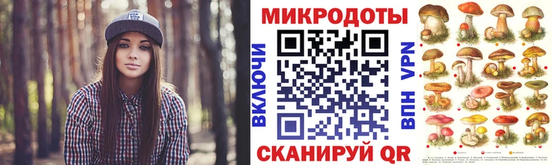 Галлюциногенные грибы Psilocybine cubensis  как найти наркотики  Новодвинск 